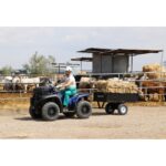 Remolque ATV Zeppelin ESREMFIJO01Z 435 kg - Imagen 3